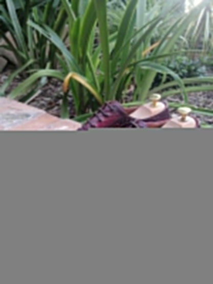 Martino - Burgundy Cap-toe Shoes-2